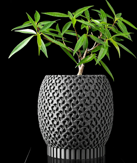 Maceta Ringa